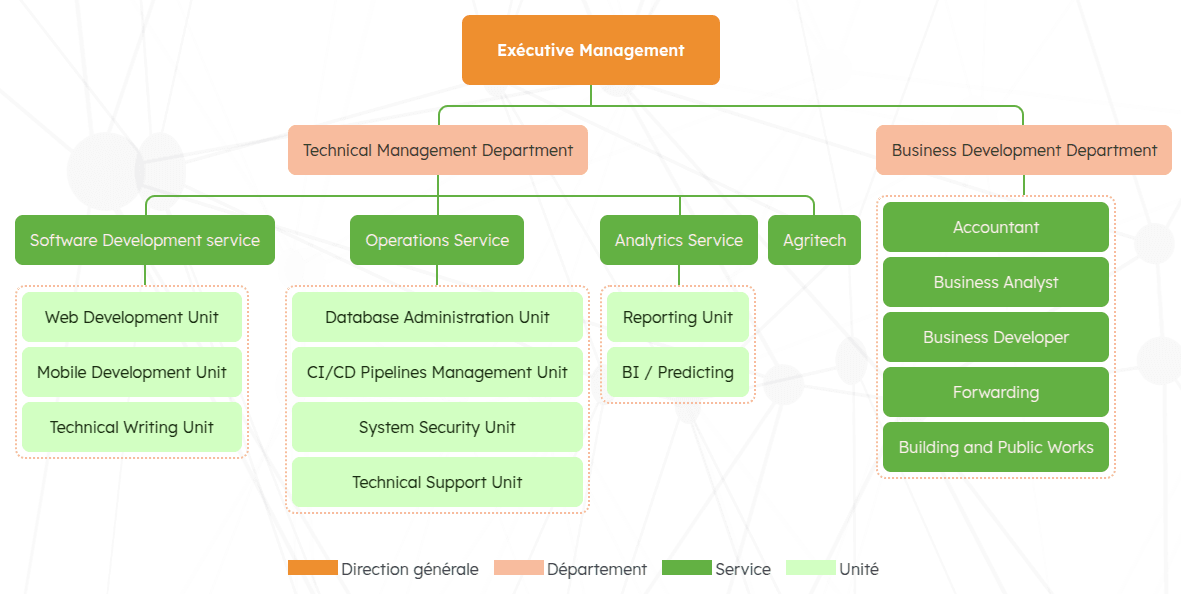 Organigramme organisation TIR